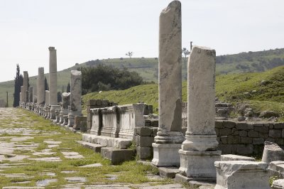 Via Tecta (or the Sacred Way, which is a colonnaded street leading to the sanctuary)