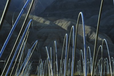 Greenhouses in the Desert