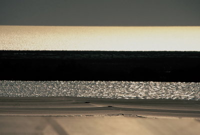 Greenhouses in the Desert