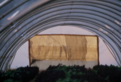 Greenhouses in the Desert