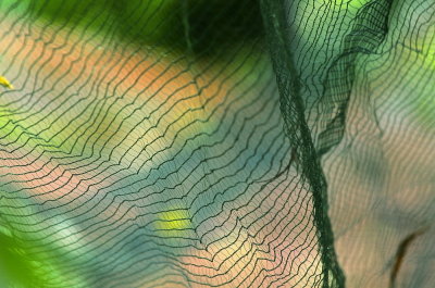 Olive Picking Nets
