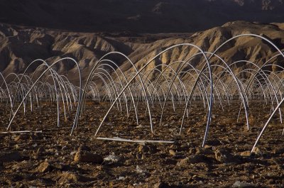 Greenhouses in the Desert