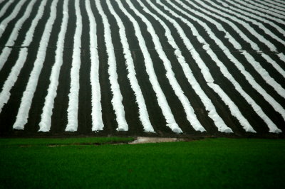 Winter Patterns