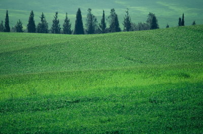 Green Hills Rolling