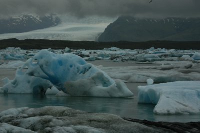 Jokulsarlon Glacier Lagoon, 9-6 - 2661.JPG