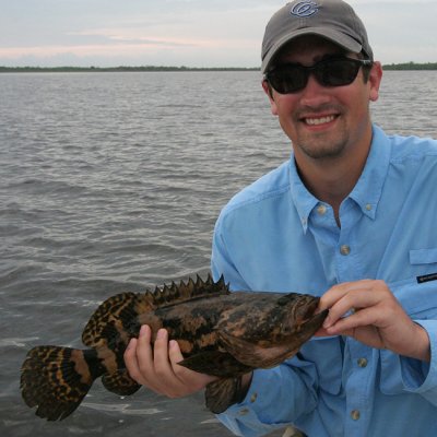 Goliath Grouper