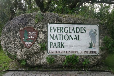 Everglades 2006