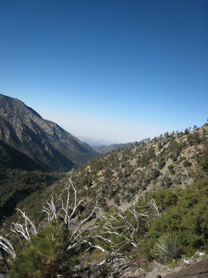 Mt Baldy 060708_46.jpg