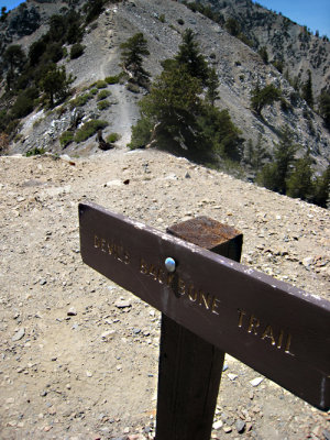 Mt Baldy 060808_28.jpg