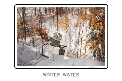 Winter-Water-copy--web.jpg