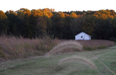 White Barn