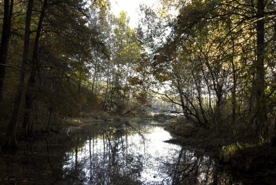STill Waters