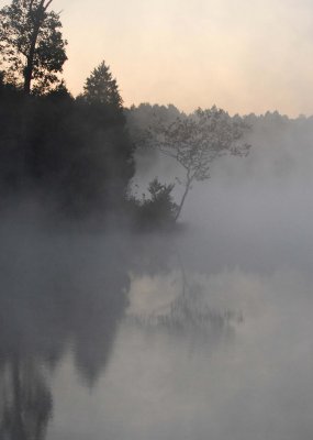 Reflection/Fog