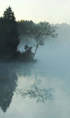 Water Reflection