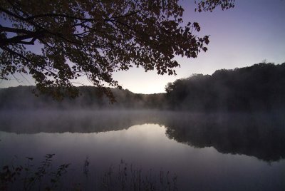 Early Morning Light