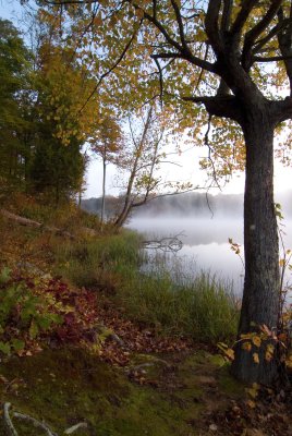 Colours and Fog