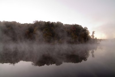 Fog and Silhouettes