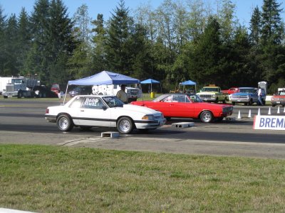 IMG_0379_290.JPG