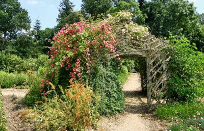 Chateau de Sully garden