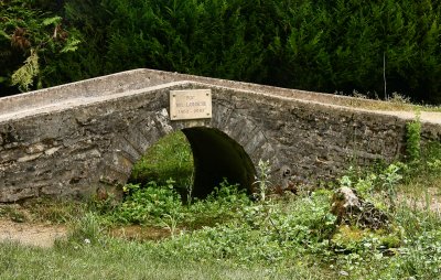 The very first bridge over the Seine!