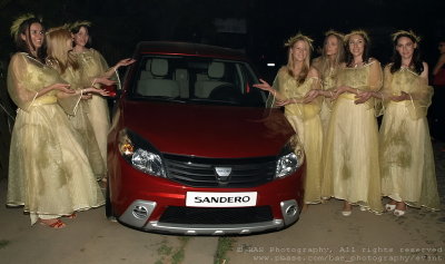 Dacia Sandero - Group Renault