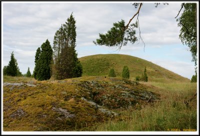 A tour NE of my hometown