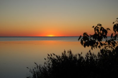 DSC_0132.jpg