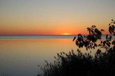 DSC_0133.jpg