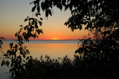 DSC_0134.jpg