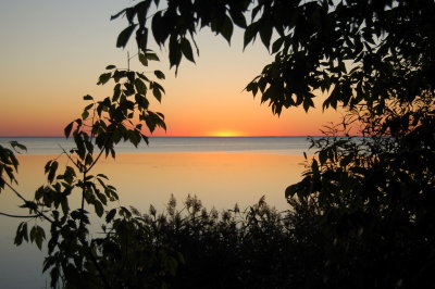 DSC_0135.jpg
