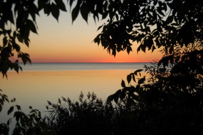 DSC_0141.jpg