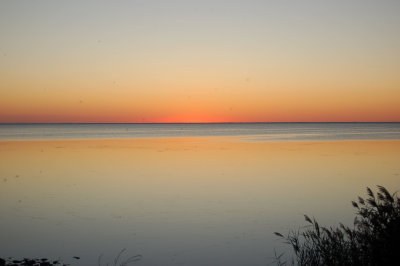 DSC_0142.jpg
