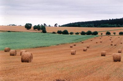 environs de Vzelay