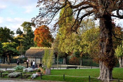 Jardin d'acclimatation, 0781
