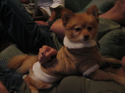 couture jacket
