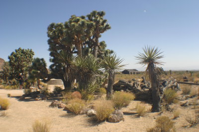 near 'Hole in the wall'