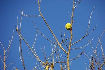 Hanging in there.jpg