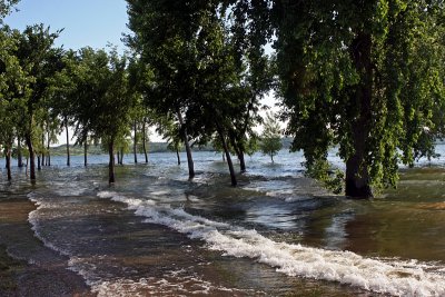 Flooded shore