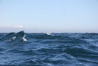 off south coast of NS, June 2