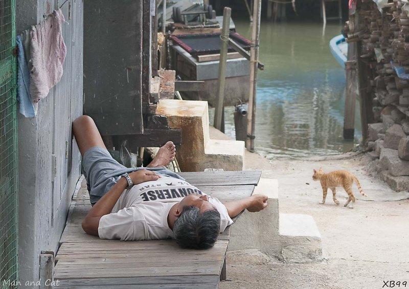 TAI O.The man and the cat