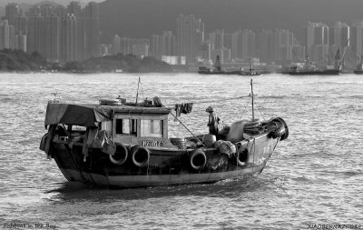 HONG KONG.FISHING BOAT in the BAY