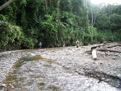 River walk, Selva Bananito, 11/01/2008
