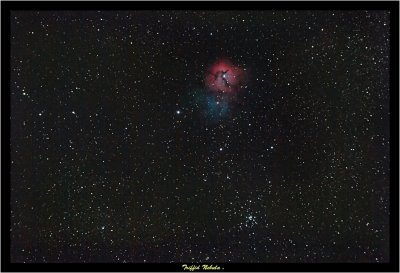 Triffid Nebula (Eastcoast Astro Image of the Month)