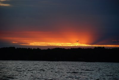 Out and About on Stoney Lake