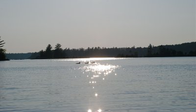 DSC_0923.jpg