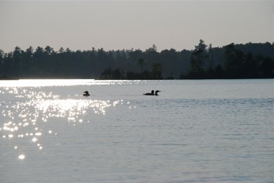 DSC_0926.jpg