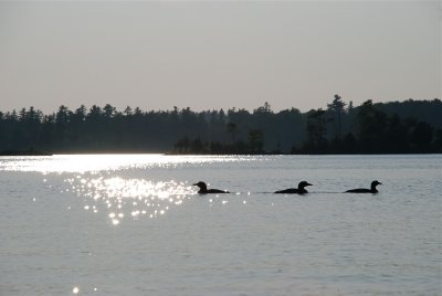DSC_0944.jpg
