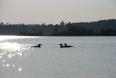 DSC_0946.jpg