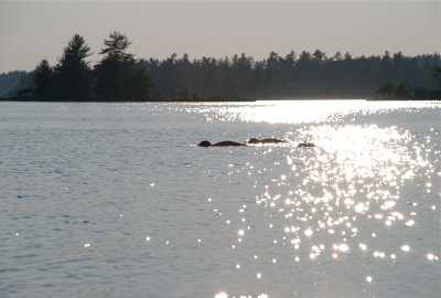 DSC_0960.jpg