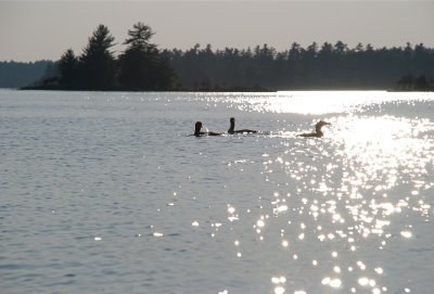 DSC_0961.jpg